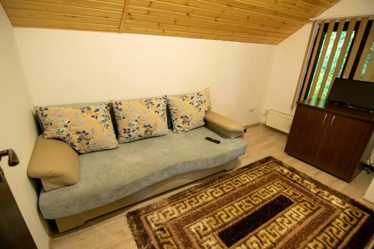 Hotel Alpina Deluxe à Moisei Extérieur photo