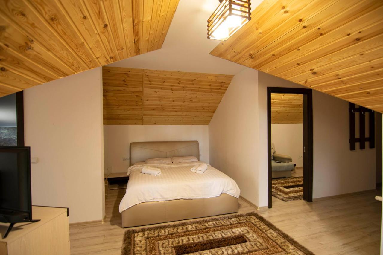Hotel Alpina Deluxe à Moisei Extérieur photo