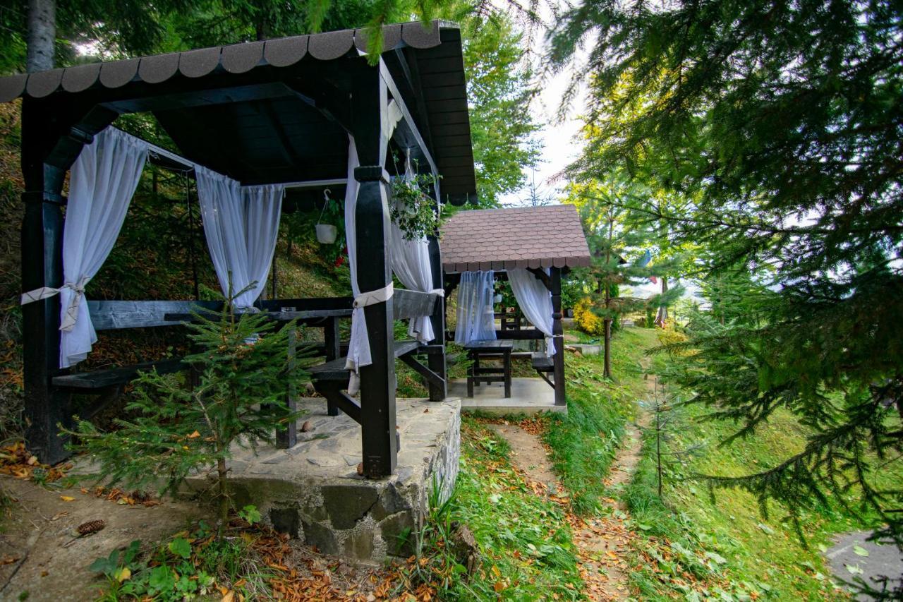 Hotel Alpina Deluxe à Moisei Extérieur photo