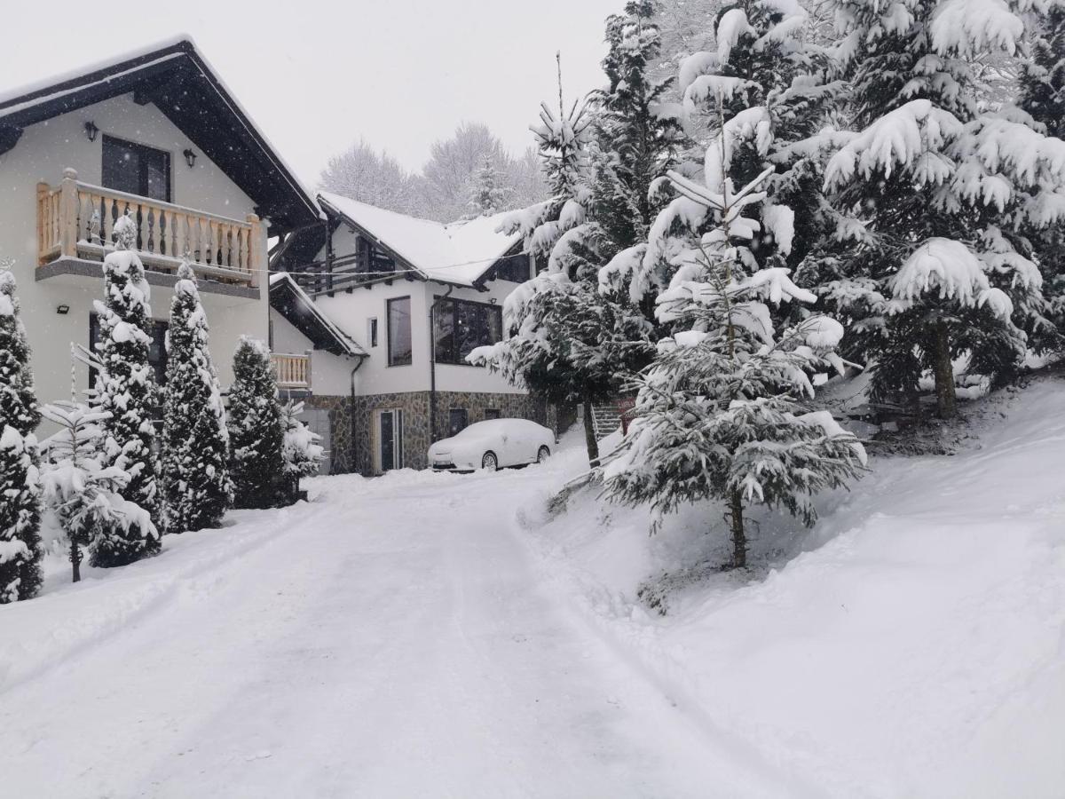 Hotel Alpina Deluxe à Moisei Extérieur photo