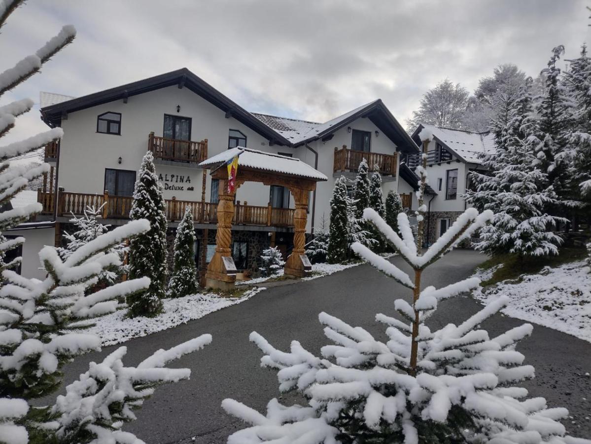 Hotel Alpina Deluxe à Moisei Extérieur photo