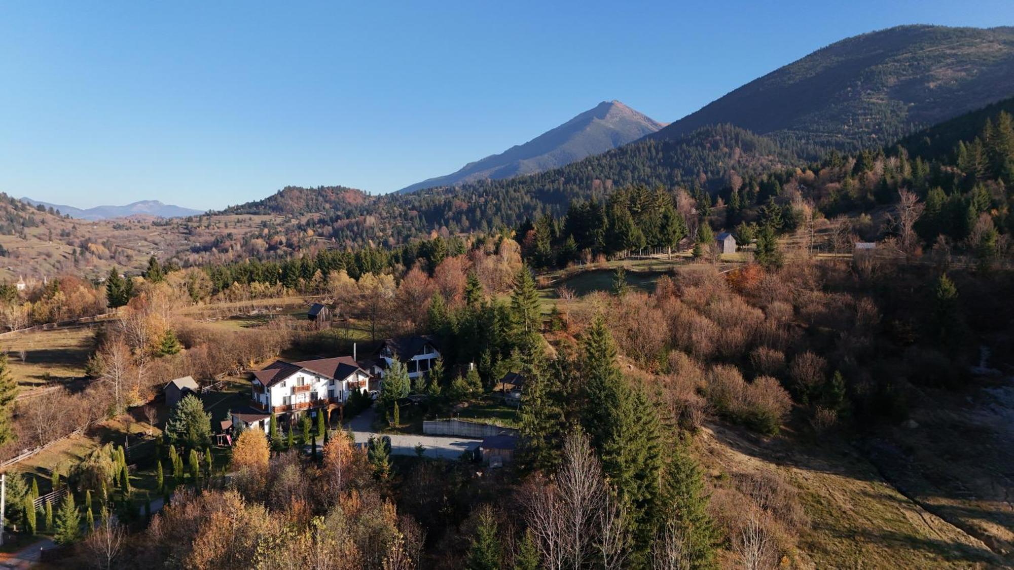 Hotel Alpina Deluxe à Moisei Extérieur photo